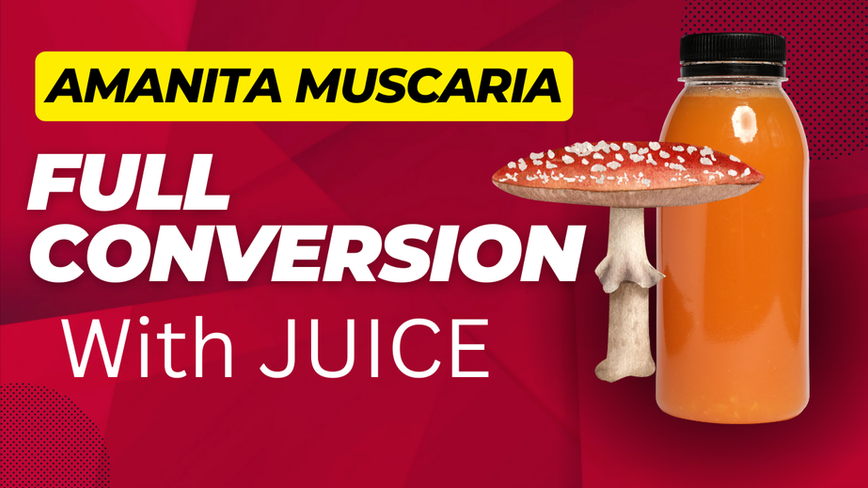 Full Conversion With Juice